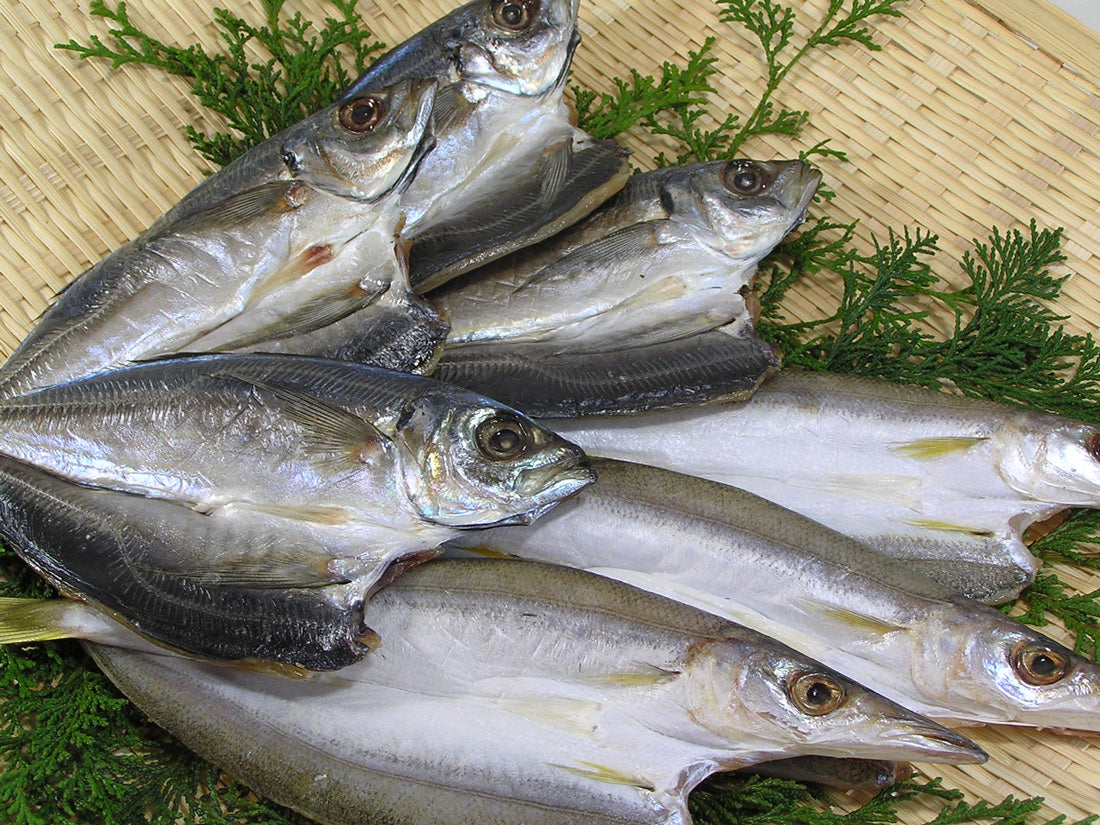 あじ開き・かます開きセット