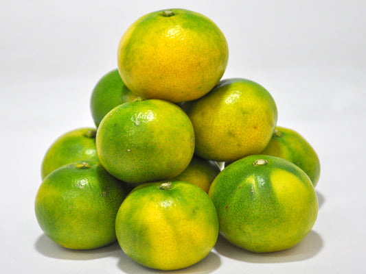 やまがの極早生有田みかん