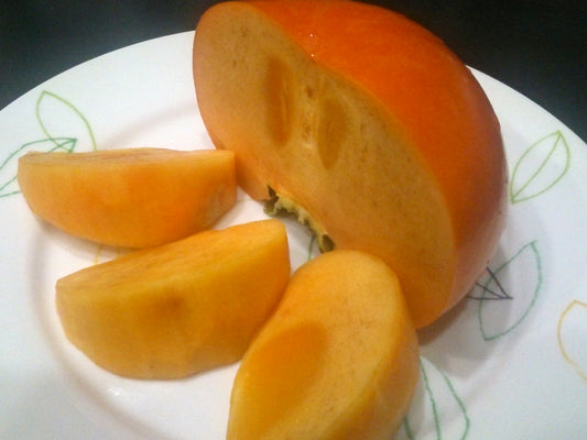 九度山の富有柿(種なし)