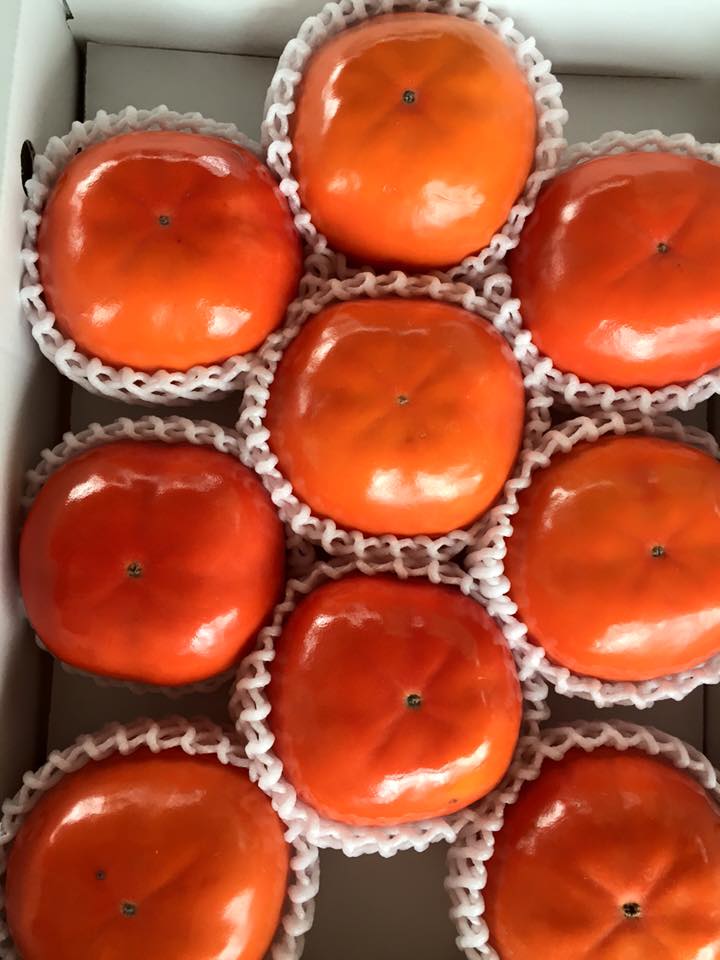 種無しの甘柿「陽豊柿」