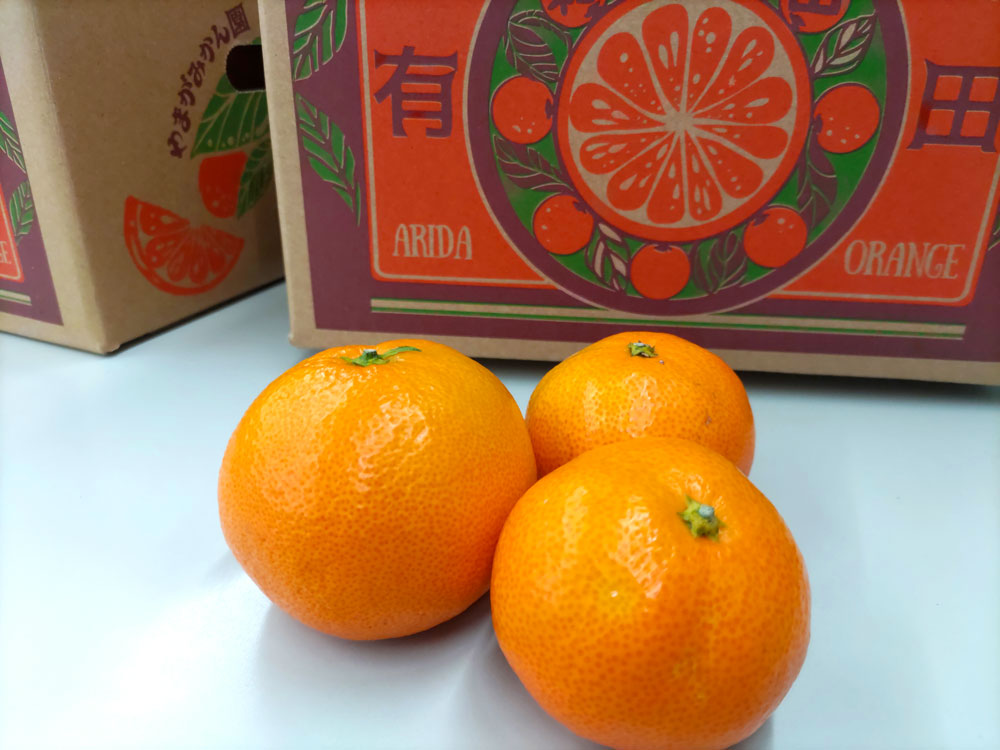 やまがの極上有田みかん【送料無料】
