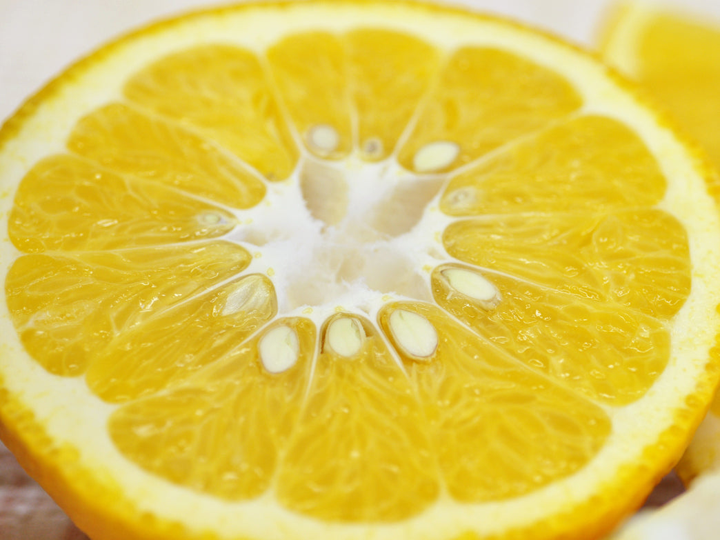 甘夏（夏みかん）【送料無料】