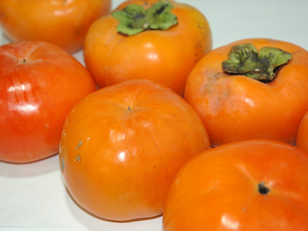 4 和歌山県 九度山産 種無し柿 家庭用 3kg