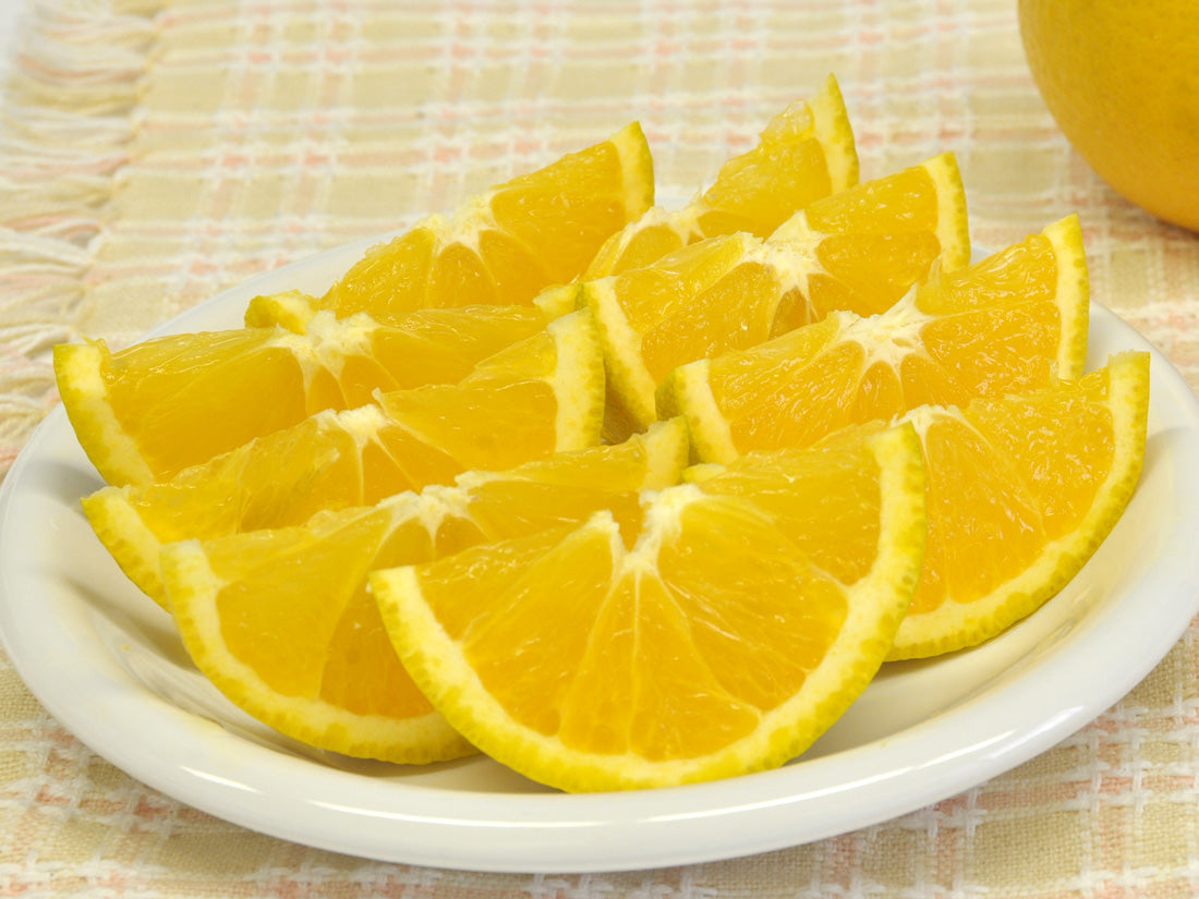 国産バレンシアオレンジ