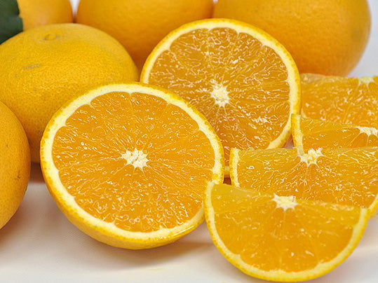 清見オレンジ【送料無料】
